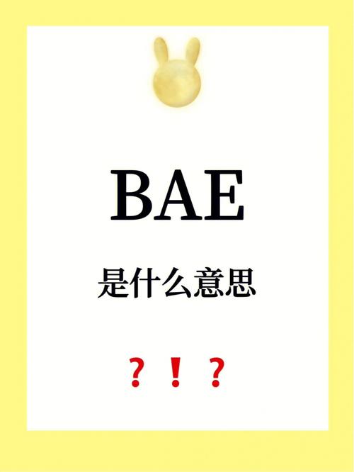 bae是什么意思？ ，BAE的中文意思